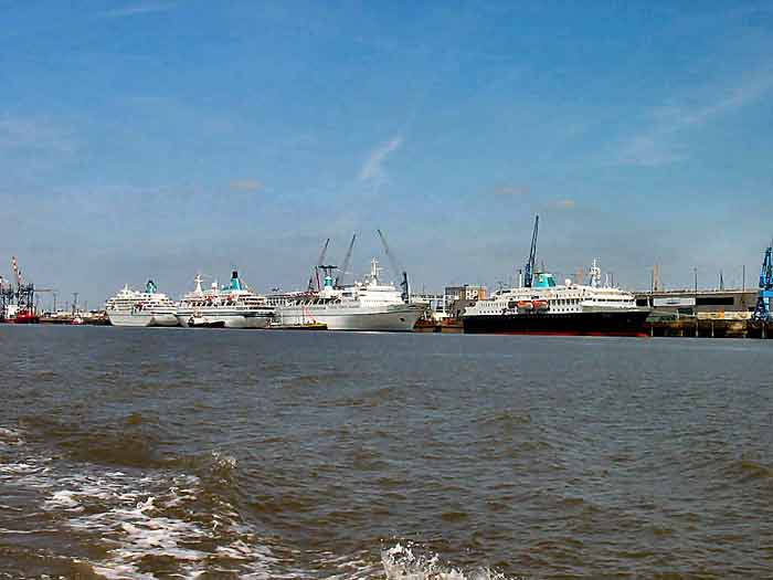 Alexander von Humboldt, Maxim Gorki, Albatros & Amadea