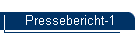 Pressebericht-1