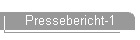 Pressebericht-1