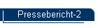 Pressebericht-2