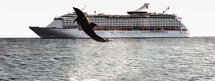 Adventure of the Seas